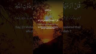 "This Verse Can Light Up Your Life ✨" #foryou #react #holyquran #reactredux #reactadvanced #reactjs