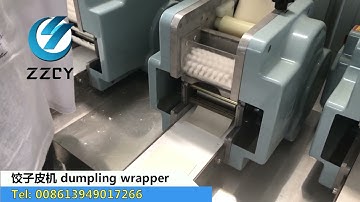 Dumpling wonton skin making machine/饺子皮机、混沌皮机