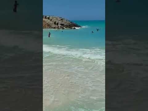 ظهور سمكة القرش في اجمد واجمل يوم مصيف اسكندرية اهم حاجة صلى على النبي محمد