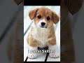Eminem or Skittles? #funny #dog #dogshorts #skittles #memes #likeandsubscribe