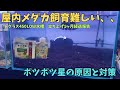 メダカの屋内飼育の難しさを実感。対策と原因について。＃アクアリウム