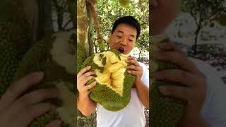 Farm Fresh Jackfruit Ninja Oddly Satisfying Fruit Asmr tiktok shorts asmr youtubeshorts
