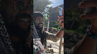 RASTA LIVITY IS MISTERIOUS SOME TIMEs IDENTIQEU TWEEN #MAPACHA #PAJE SQUER