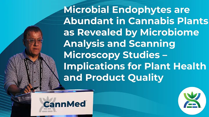 Microbial Endophytes are Abundant in Cannabis Plants as Revealed by Microbiome Analysis & Scanning
