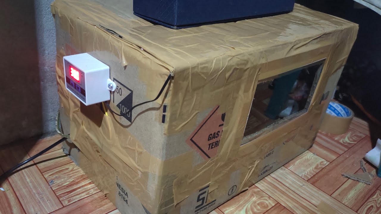 cara membuat mesin tetas sederhana - YouTube