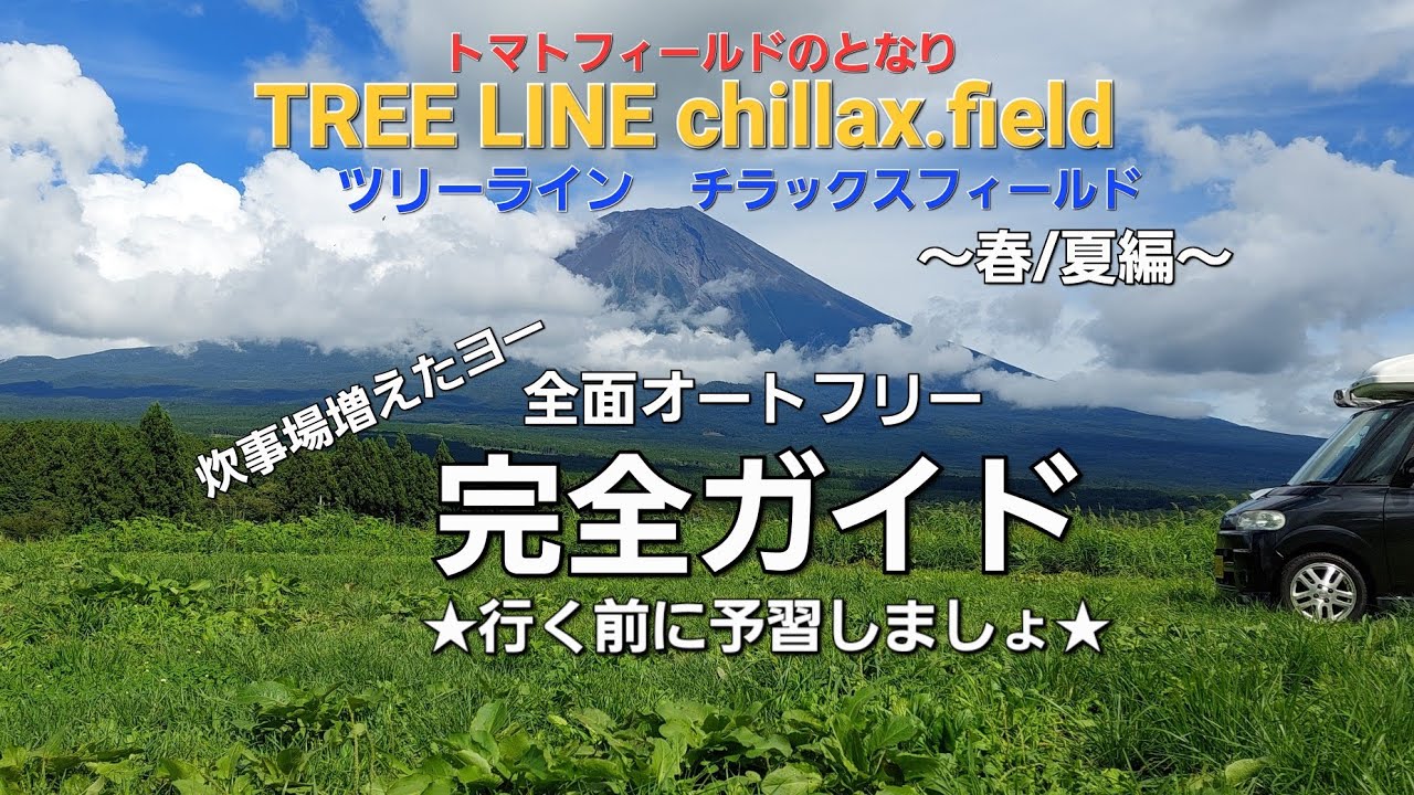 【キャンプ場紹介】夏のツリーラインチラックスフィールドこんなカンジですTREE LINE chillax field