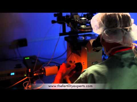 ICSI Procedure - IVF (Intracytoplasmic Sperm Injection)