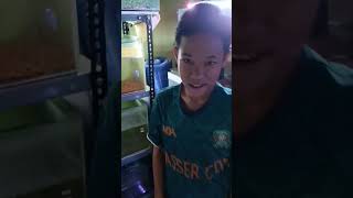 There Are Two Little Sultans Who Bought Channa Auranti channa channafish snakehead fish aqua