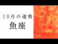 【魚座🌙10月の運勢】過去一の神展開連発😳奇跡のループについに突入🌈✨2024年タロット占い