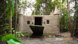 Build Cob House Castle By Ancient Skills