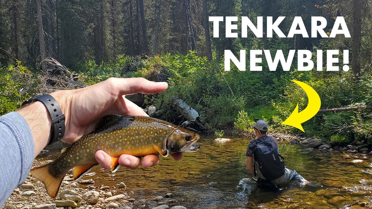 Tips for Tenkara Beginners—and Fishing an UNREAL Creek! (Tenkara