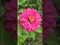 기온이 많이 내려갔네요,바람의노래- 소향