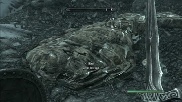 The Elder Scrolls V Skyrim Dawnguard Let