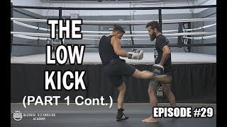 BKA - Episode #29 - The Low Kick (Part 1 Continued)