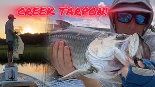 Caught a Nice Tarpon Deep in the Creek!  Mullet Run in St. Augustine Florida