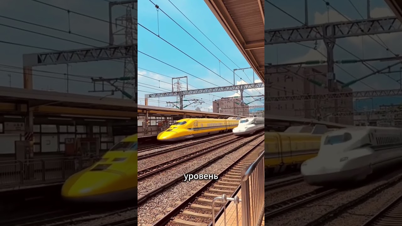 Как природа подсказала форму скоростных поездов #shinka… — Transcript