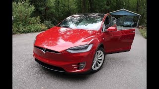 Day 426 Tesla Ruby Shopping and Cutting Up