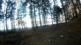 Bike Riding In Queenstown Gardens