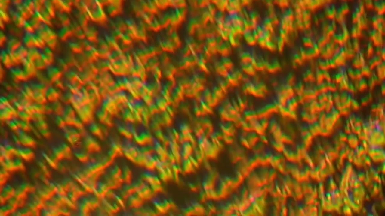 Alina Yunusova - WB, 2023 Public//Private Preview