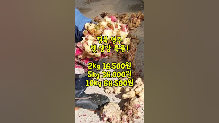 산지직송 햇 생강 특품! 가격 시세 비교해 보시고, 주문하세요!