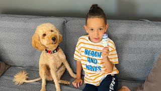 دي دي ميدو - لولو قناة وناسة