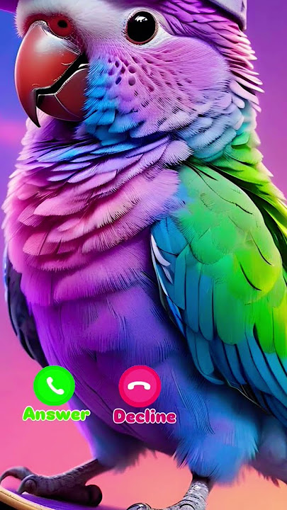 Q love parrot #ringtone