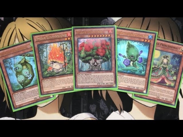 sylvan deck yugioh Yugioh Sylvan Deck - Plant, Rose, Thorns, Dragon, Number