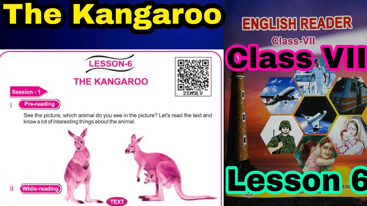Class 7 English Lesson 6 The Kangaroo Question Answer Odia Medium Part class-7-english-lesson-6-the-kangaroo-question-answer-odia-medium-part