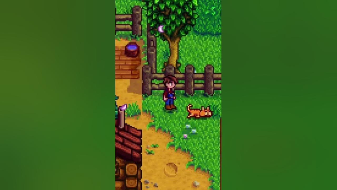 I m A Bad Pet Owner stardewvalley YouTube i-m-a-bad-pet-owner-stardewvalley-youtube