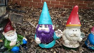 My garden gnome collection