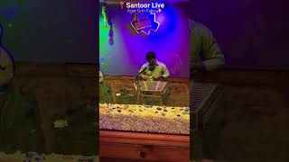 Mai koi Aisa Geet Gaoon#shorts #live #santoor #instrumental #song #agartumkaho #love #90s #evergreen