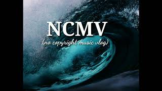 Satisfaction - Dan Lebowitz (no copyright music)