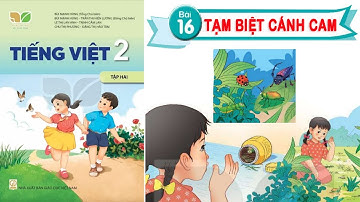 Bài Đọc 16: "Tạm Biệt Cánh Cam" trang 64 |Sách Kết Nối Tri Thức Lớp 2 Tập 2