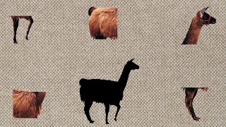 Cute Animals Camel Jigsaw Puzzle 낙타 퍼즐 Funny Animals Wild Animals