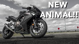 HONDA CBR650R SHOOTS FLAMES AFTER NEW TUNE!! by LamboDEB 11 views 3 hours ago 6 minutes, 39 seconds