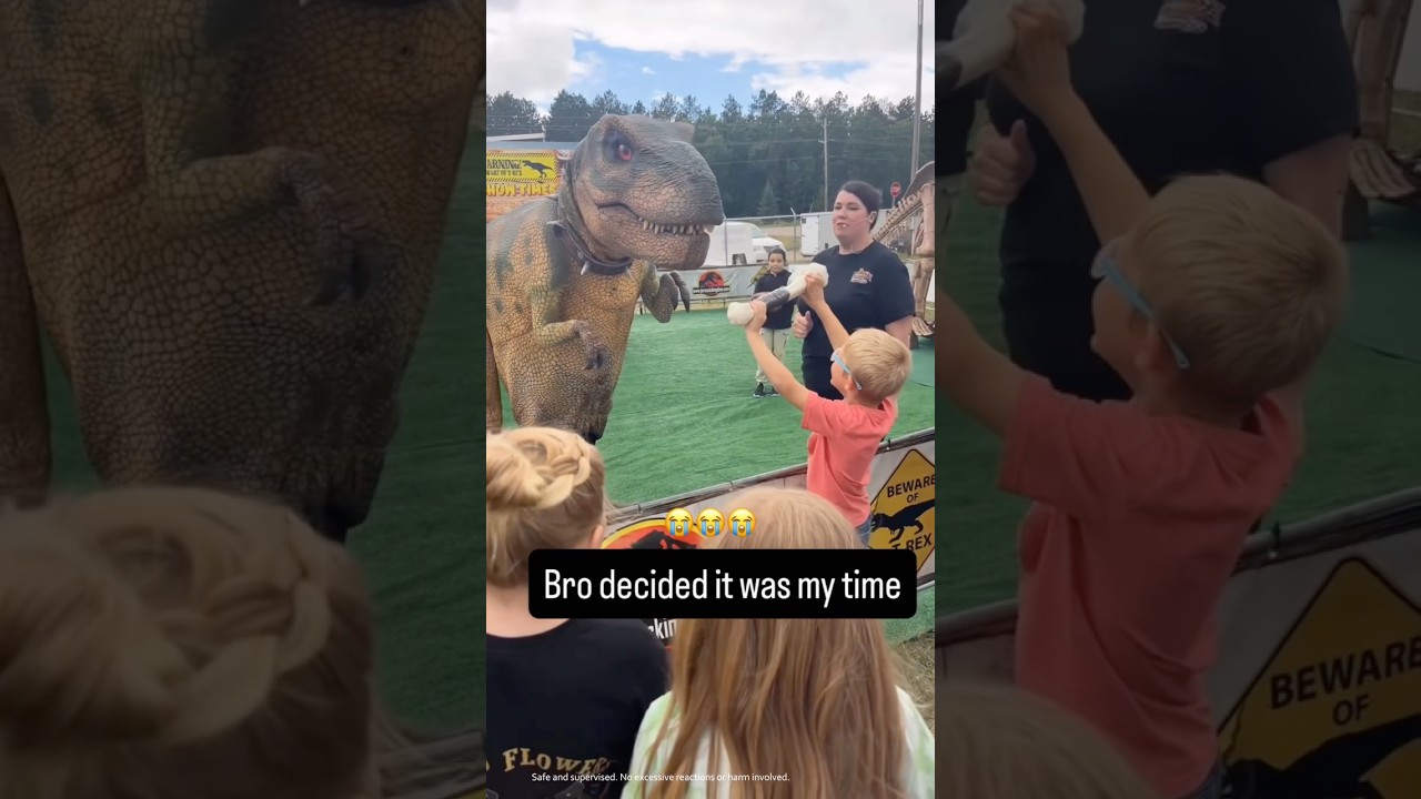 Jurassic Dinosaur Moments 🌋🦕 #viral #animals #wildlife #dinosaur #jurassicworld #trex