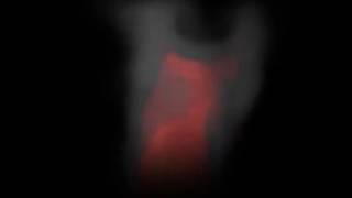 Fire in Maya 2016