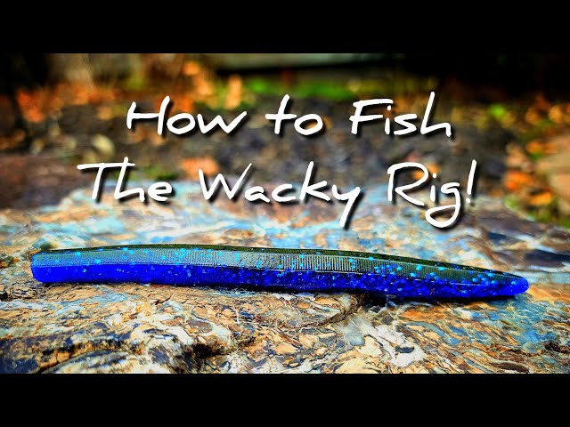 How to Fish the Wacky Rig for Summer Bass!!