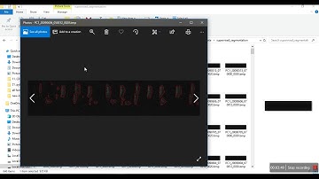 Bird Classification Using Binary Relevance approach with Random Forest