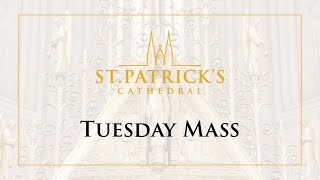 Tuesday Mass - July 14th 2020