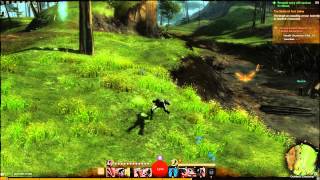 Guild Wars 2 BETA Funny Glitch