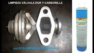 Como LIMPIAR la VALVULA EGR con ECO LIMPIADOR CARBONILLA de ECO CARBURANTE MOTOR