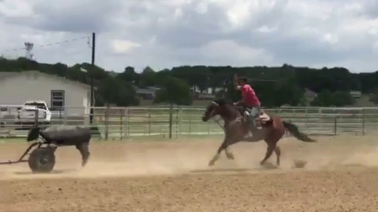 Finished Head Horse for Sale YouTube