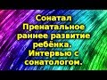 Сонатал. Пренатальное, раннее развитие ребёнка. Sonatal.ru