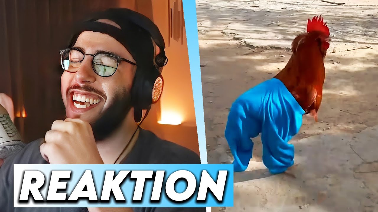 RANDOM CLIPS DIE KEINEN SINN ERGEBEN 😂