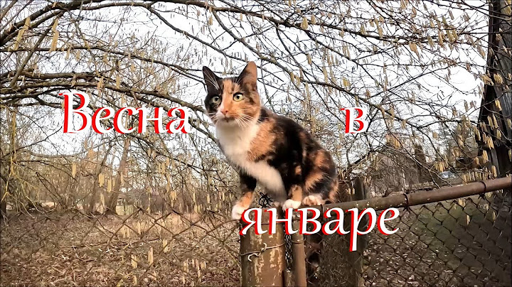 Как я увлеклась стройкой и столяркой. Жизнь на Лесном Хуторе.