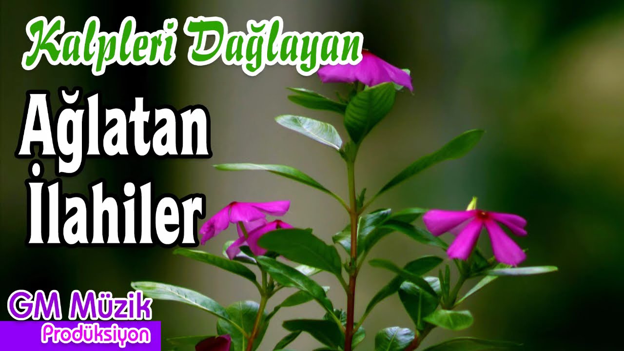 Kalpleri Dağlayan Ağlatan İlahiler 💖 Hüzünlü İlahiler 💖 Karışık İlahiler