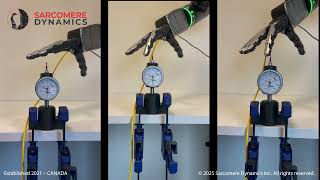 Accuracy Tests October 2025