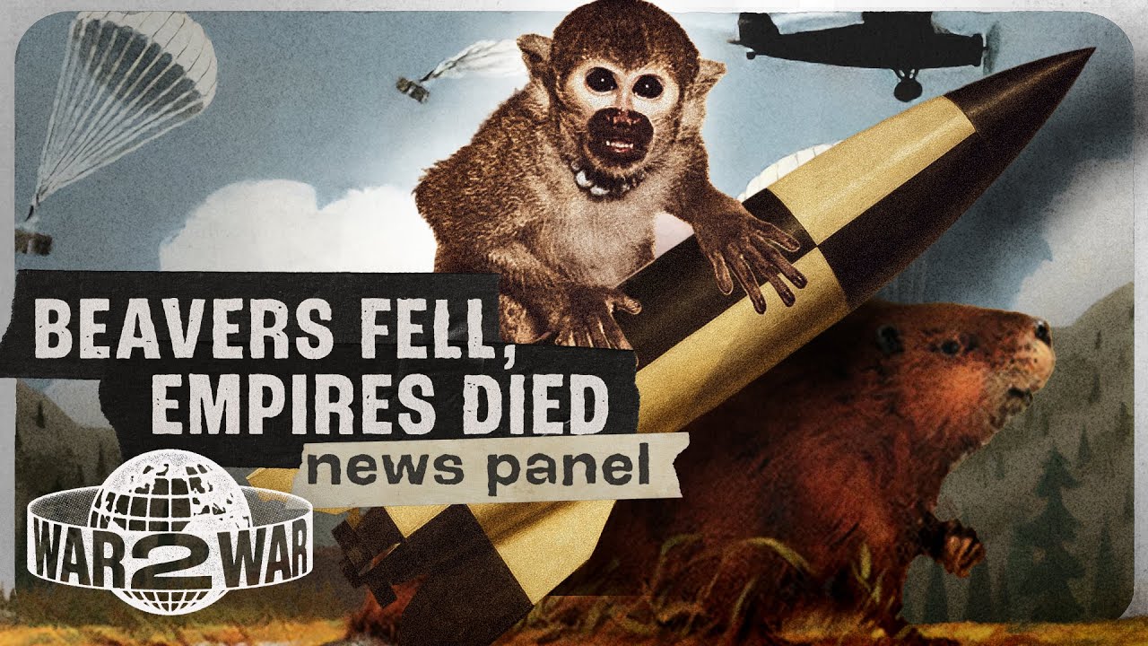 Documentary backdrop image for Monkey Rockets, beavers with Parachutes, and the Fall of Empires - 1948 Newscast - W2W 26 (2025)