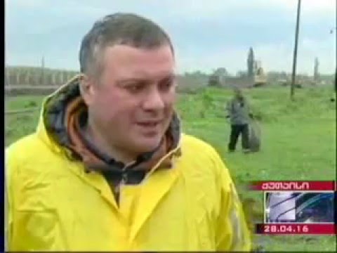 დასუფთავების აქცია ქუთაისში